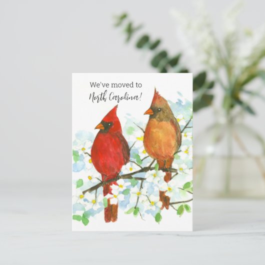 Ankündigung von Nord-Carolina-Kardinälen Postkarte (Stehend Vorderseite)
