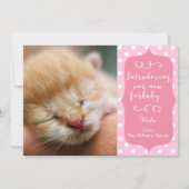 Ankündigung von Pink New Furbaby (Vorderseite)