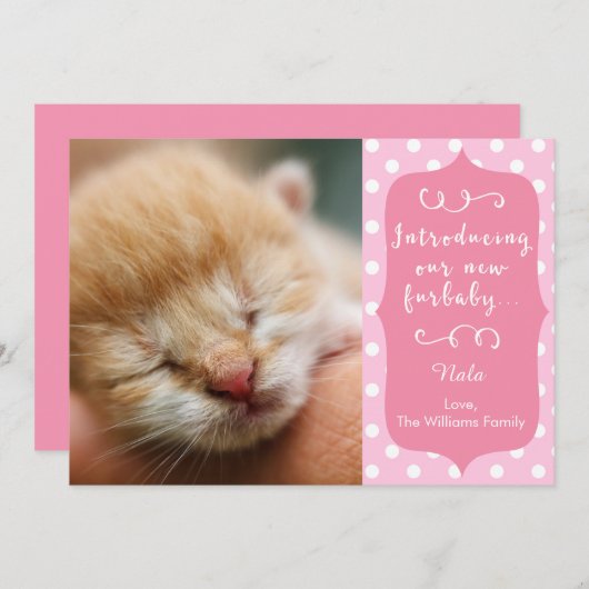 Ankündigung von Pink New Furbaby (Vorne/Hinten)