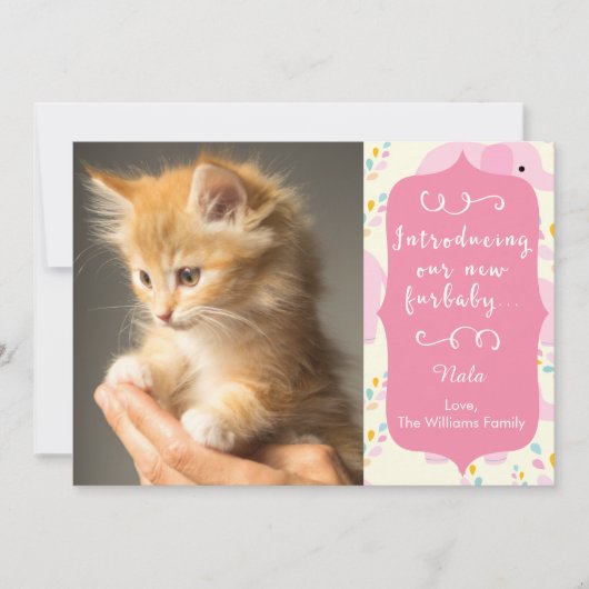 Ankündigung von Pink New Furbaby (Vorderseite)