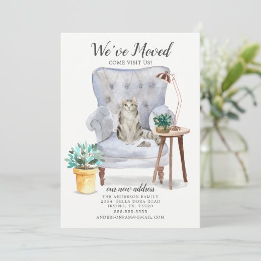 Ankündigung von Ragamuffin Cat Moving (Stehend Vorderseite)