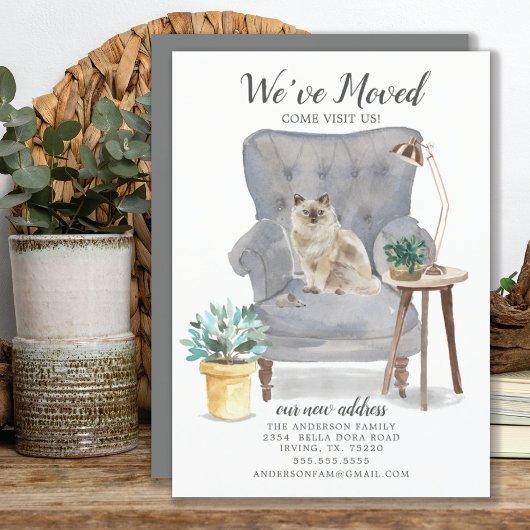 Ankündigung von Ragdoll Cat Moving