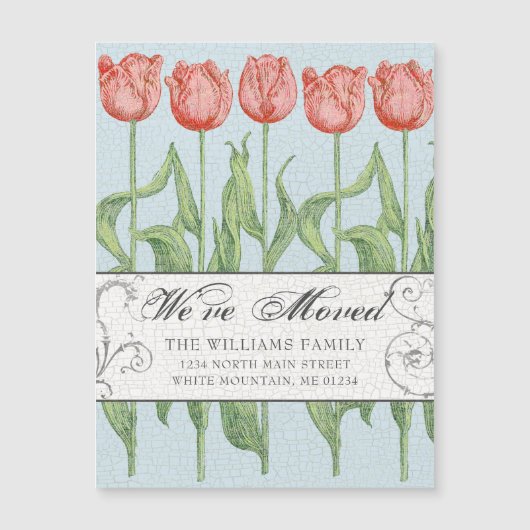 Ankündigung von Rosa Tulip Frühjahrsflorenbewegung (Vorderseite)