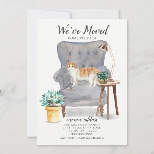 Ankündigung von Scottish Fold Cat Moving (Vorderseite)