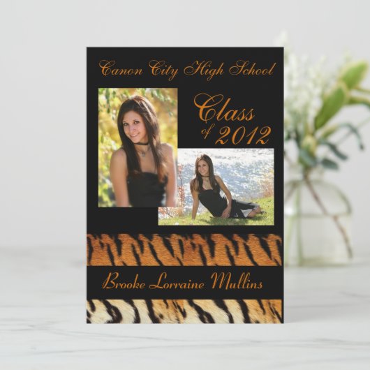 Ankündigung von Tigerstreifen-Abschluss (Stehend Vorderseite)