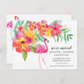 Ankündigung von "Tropical Pink Flamingo Moving" (Vorne/Hinten)