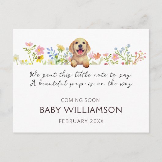 Ankündigung von Welpenschwangerschaft Postkarte (Vorderseite)