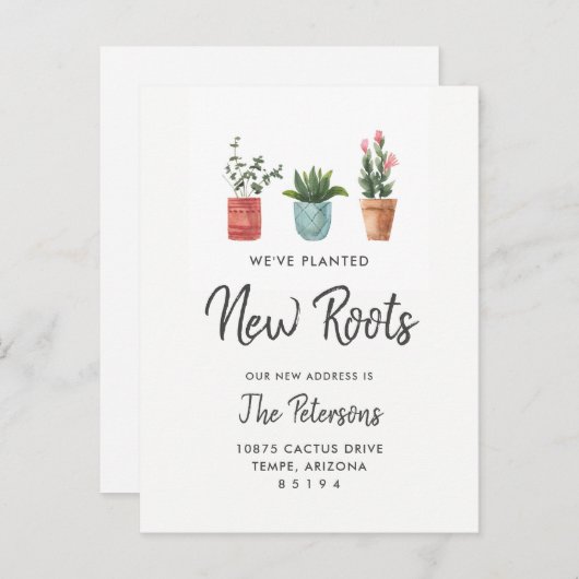 Ankündigung zum Kaktus-Verschieben | Neue Wurzeln (Vorne/Hinten)