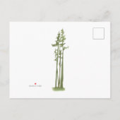 Ankündigung zum neuen Heck der Woods Mountain Movi (Rückseite)