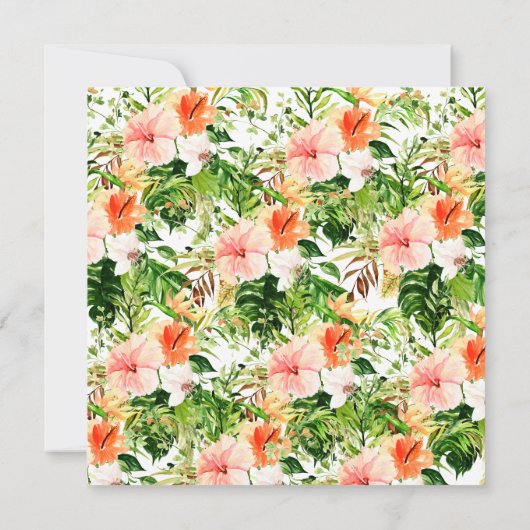 Ankündigung zum Tropischen Hibiskus (Rückseite)