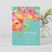 Ankündigung zum Tropischen Hibiskus (Stehend Vorderseite)