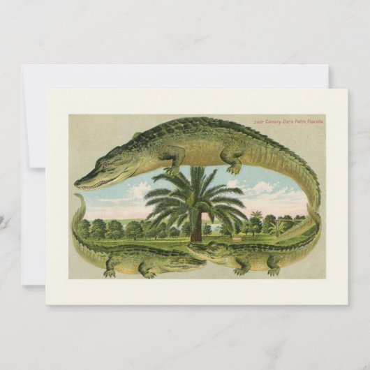 Ankündigung zum Umstieg auf den klassischen Alliga (Vorderseite)