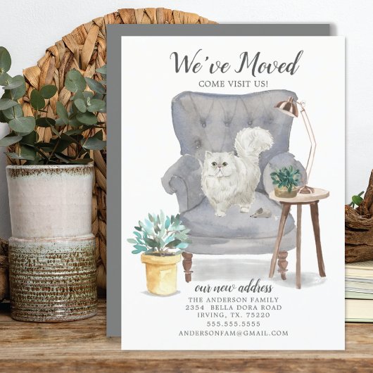 Ankündigung zur Bewegung von Persischen Katzen