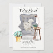 Ankündigung zur Bewegung von Persischen Katzen (Vorderseite)