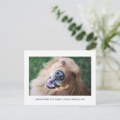 Ankündigung zur einfachen Ankündigung der Foto-Pet (Stehend Vorderseite)