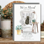 Ankündigung zur Katzenbewegung in Bombay