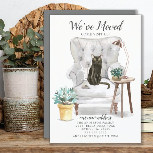 Ankündigung zur Katzenbewegung in Bombay