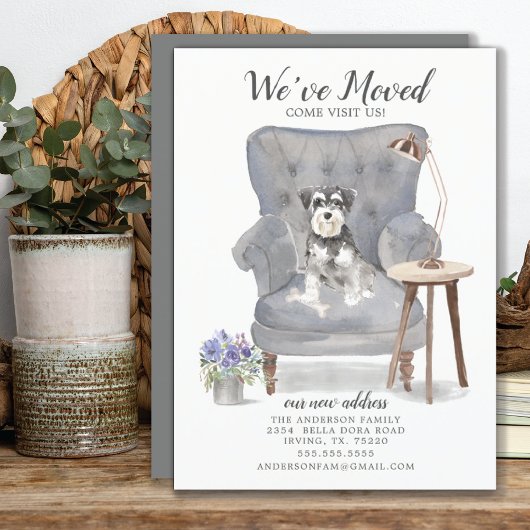 Ankündigung zur Miniatur Schnauzer-Bewegung