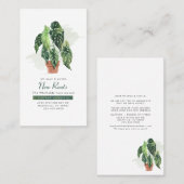 Ankündigung zur Pflanze von Wasserfarben (Vorne/Hinten)