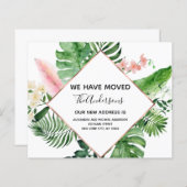 Ankündigung zur Verschiebung des Budgets für tropi (Vorne/Hinten)