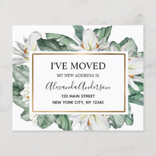 Ankündigung zur Verschiebung des Budgets für tropi Flyer