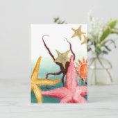 Ankündigungen von Starfish Rescue Story Blank - Ei (Stehend Vorderseite)