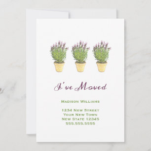 Ankündigungen zum Chic Moving   Ich habe Lavendel 