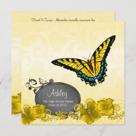 Ankündigungen zur Abstufung von Gelb und Schwarz (Vorne/Hinten)