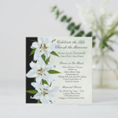 Ankündigungen zur Beerdigung von White Lily (Stehend Vorderseite)