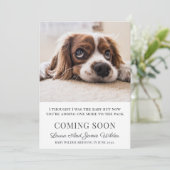 Ankündigungskarte für schwangerschaftsbillige Katz Ankündigung (Stehend Vorderseite)