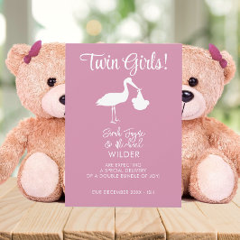 Ankündigungskarte für Twin Girls Pink Stork Pregna Ankündigung