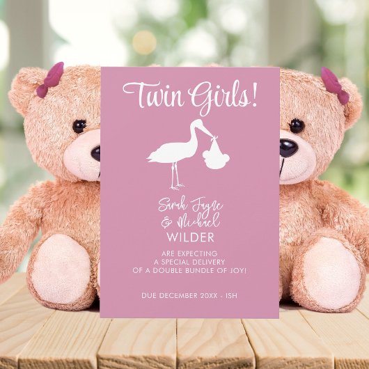 Ankündigungskarte für Twin Girls Pink Stork Pregna Ankündigung