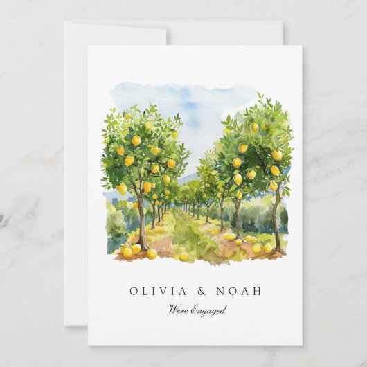 Ankündigungskarte zur Verlobung des Mittelmeerlemo Ankündigung (Vorderseite)