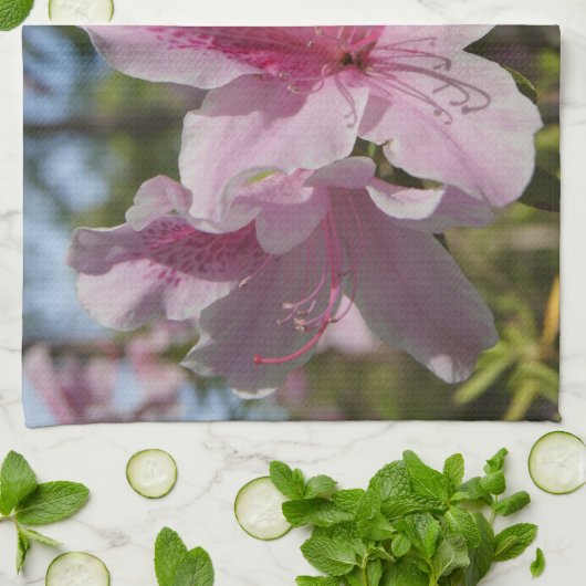 Ankunft des Frühlings Geschirrtuch (Gefaltet)