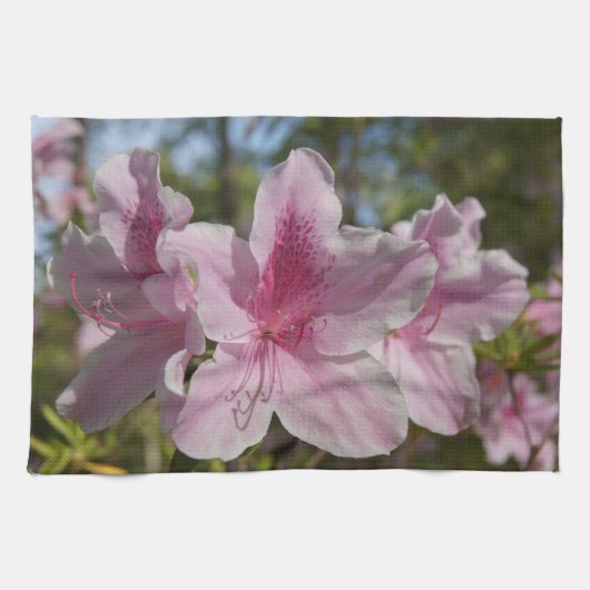 Ankunft des Frühlings Geschirrtuch (Horizontal)