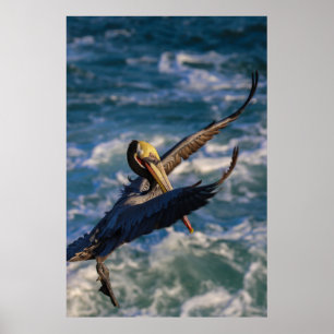 Ankunft für eine Landung Poster