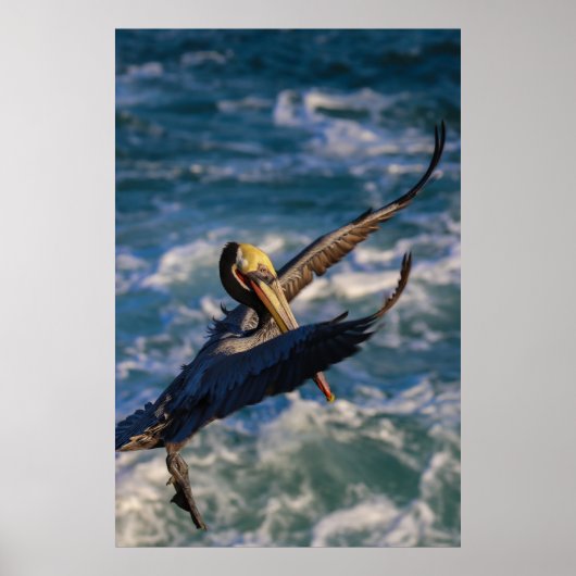 Ankunft für eine Landung Poster (Vorne)