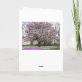 Ankunft im Frühling, Magnolia Tulip Tree Karte (Rückseite)