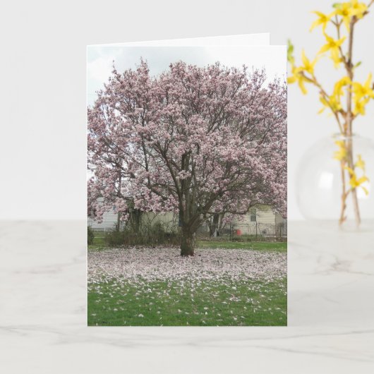 Ankunft im Frühling, Magnolia Tulip Tree Karte (Gelbe Blume)