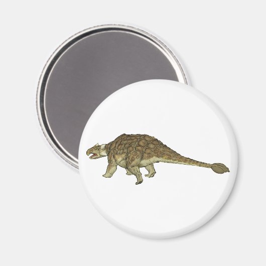 Ankylosaurus Magnet (Vorderseite/Rückseite)