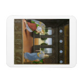 Anlage Magnet (Horizontal)