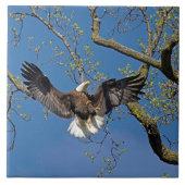 Anlandeansatz Fliese (Vorderseite)