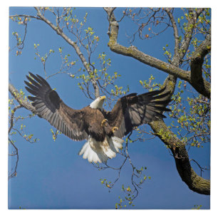 Anlandeansatz Fliese