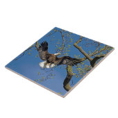 Anlandeansatz Fliese (Seite)