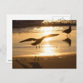 Anlandeansatz Postkarte (Vorne/Hinten)