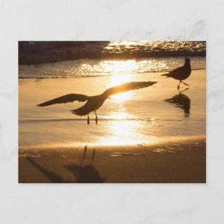 Anlandeansatz Postkarte