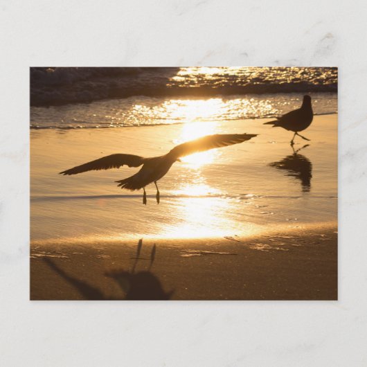 Anlandeansatz Postkarte (Vorderseite)