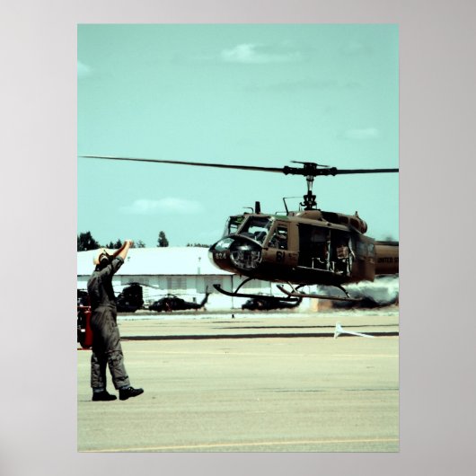 Anlandung des Vogels Poster (Vorne)