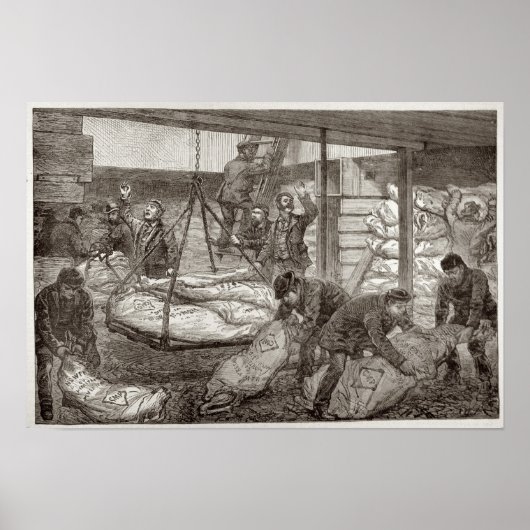 Anlandung von australischem gefrorenem Fleisch Poster (Vorne)