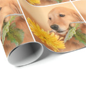 Anlass-goldener Retriever-Hund mit Blume Geschenkpapier (Rolleneckpunkt)